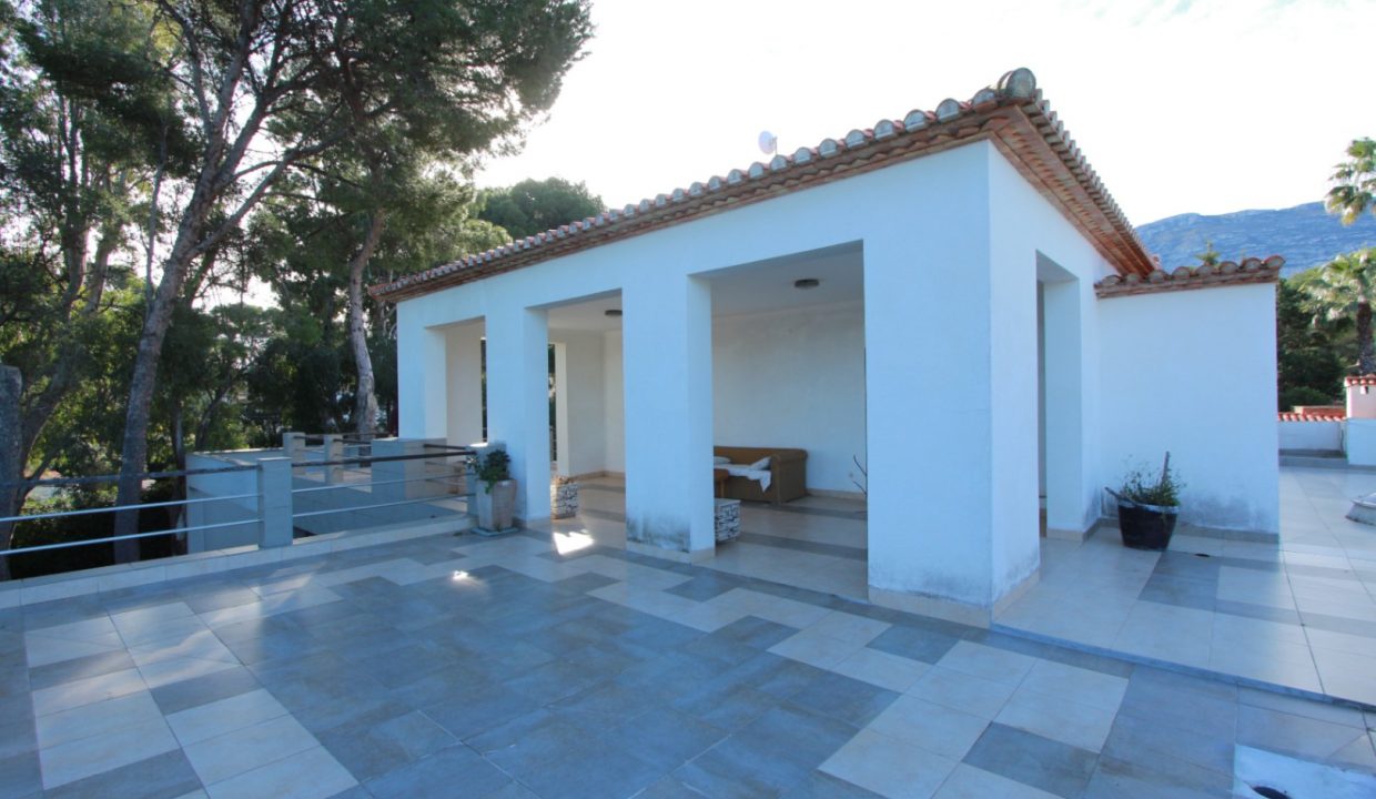 PlantaAlta1