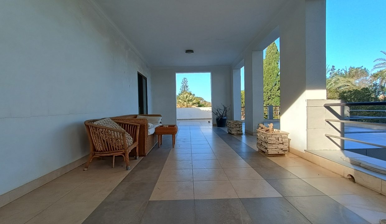 PlantaAlta2