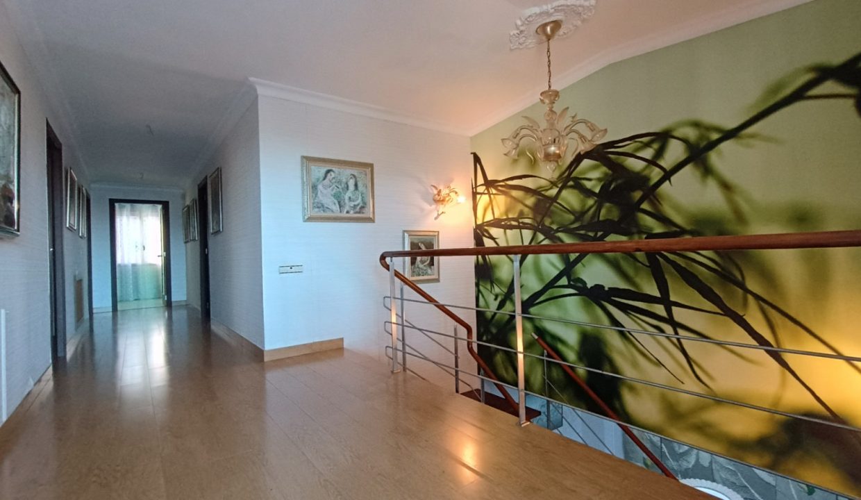 PlantaAlta3
