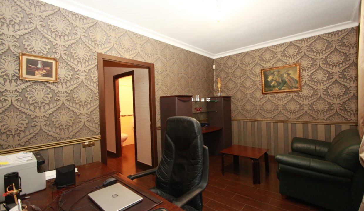Plantabaja9